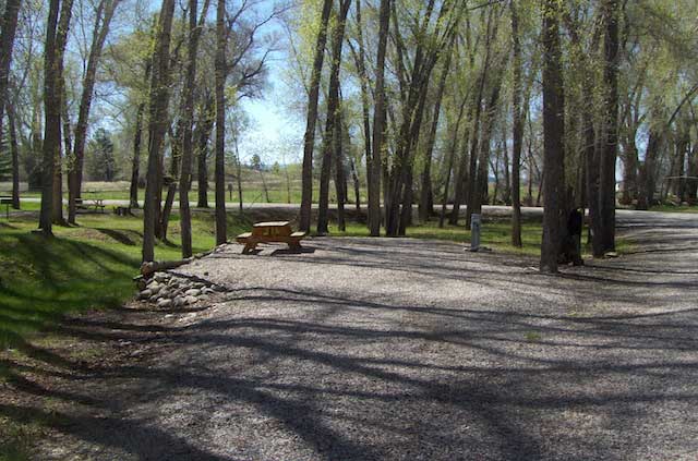 Shaded RV sites beneath mature trees